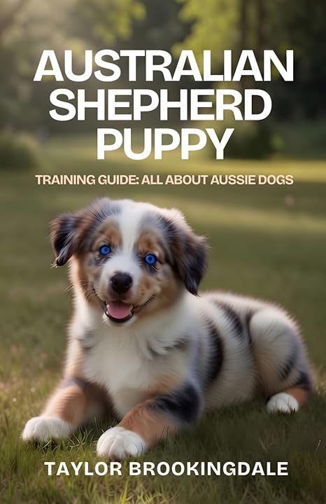 Australian Shepherd Puppy Training Guide